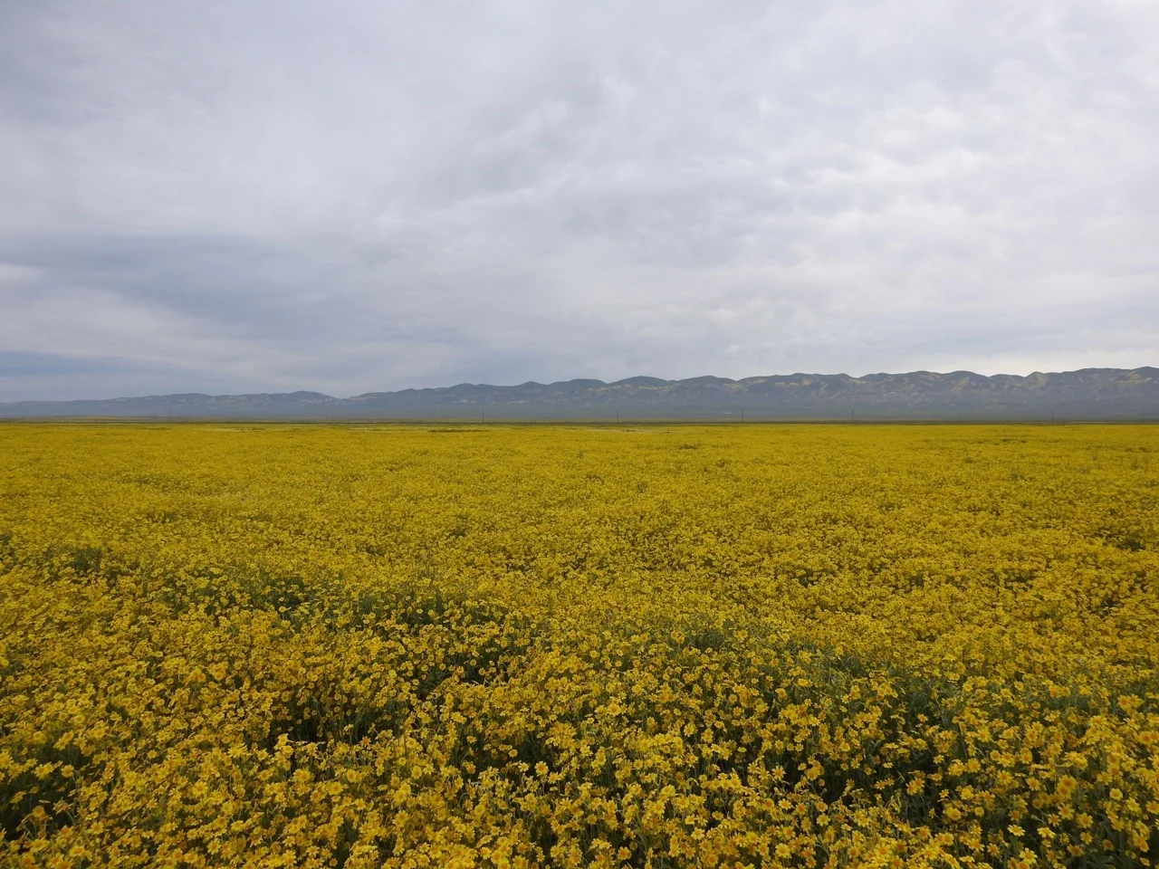 DSCN6117.jpg