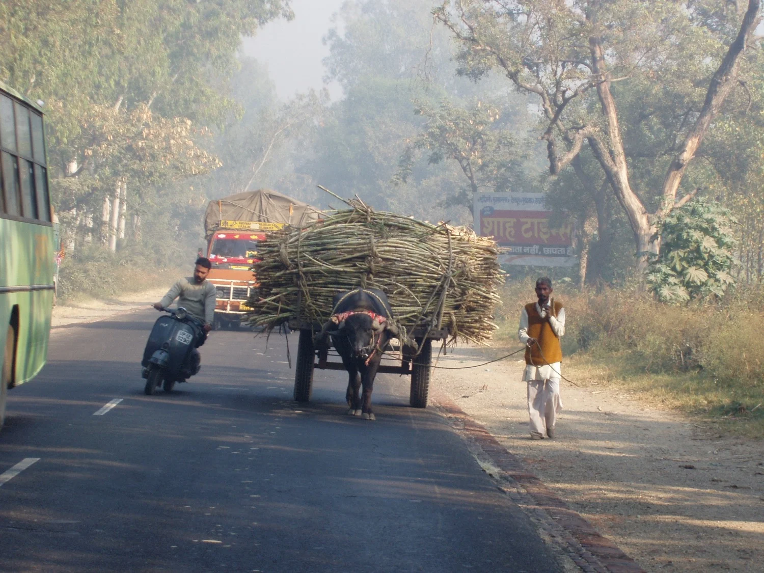 India 427.jpg
