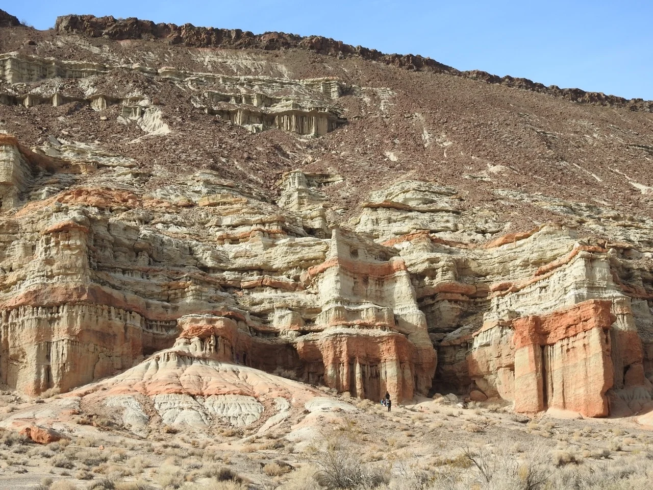DSCN5183.jpg