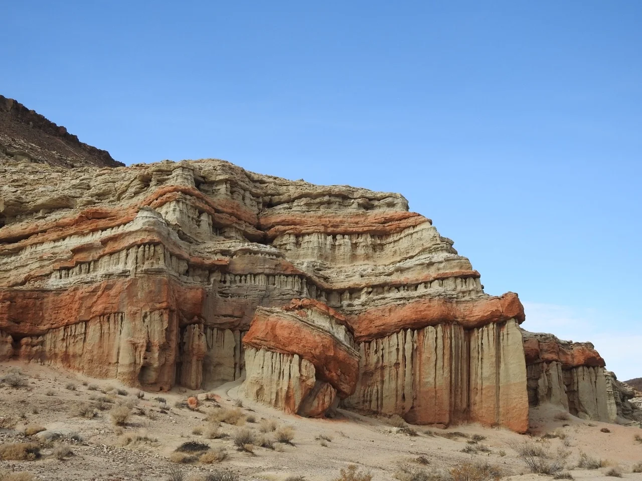 DSCN5190.jpg