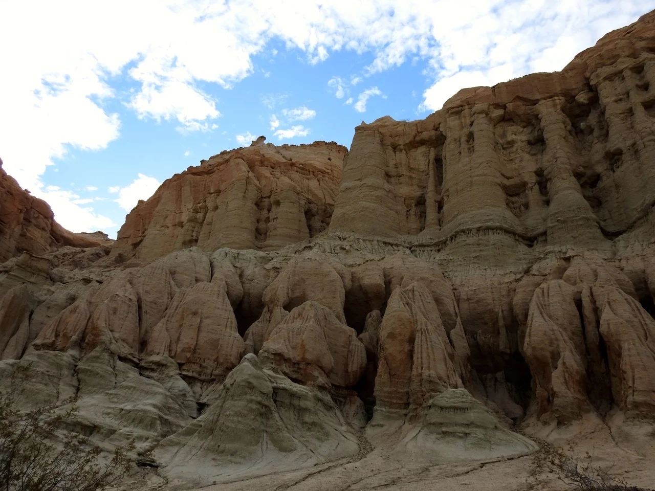 DSCN5236.jpg