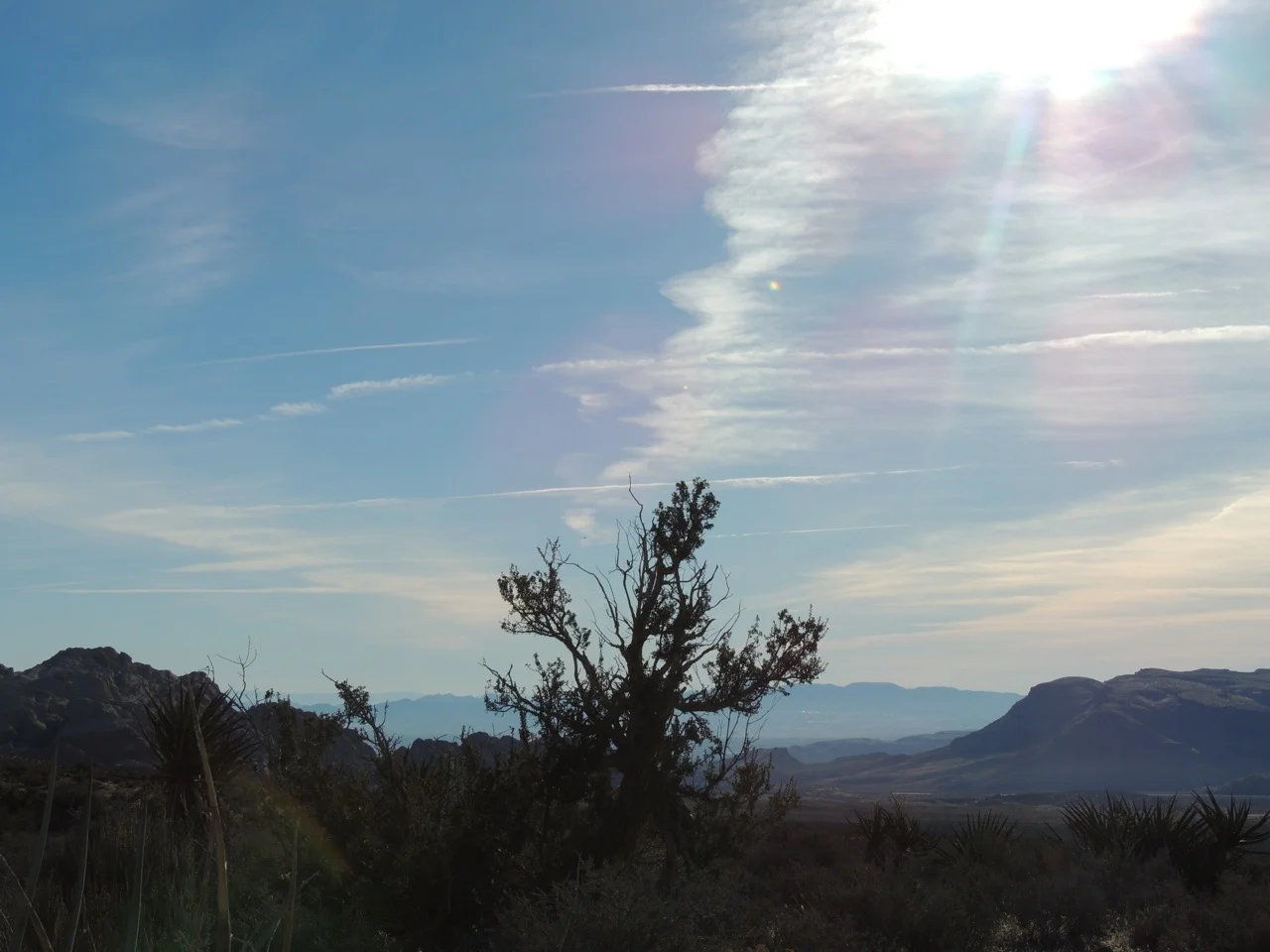 DSCN2323.jpg
