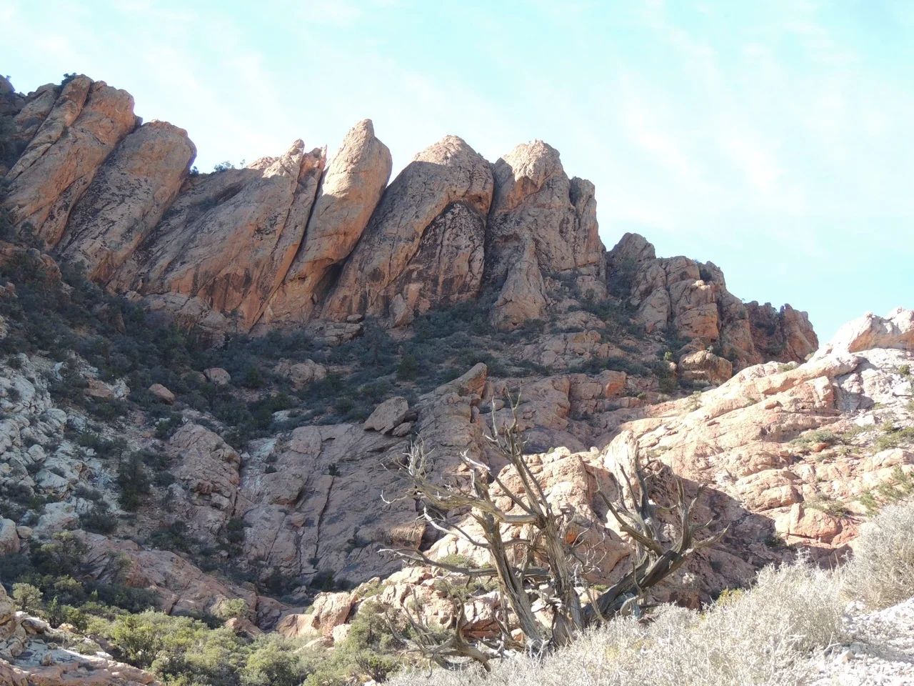 DSCN2338.jpg