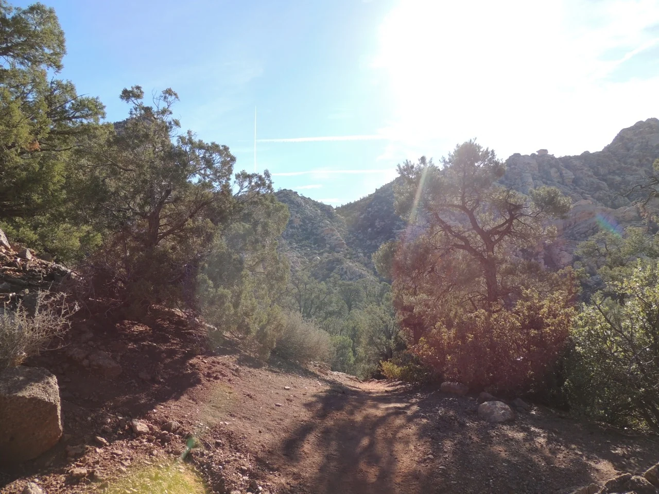 DSCN2354.jpg