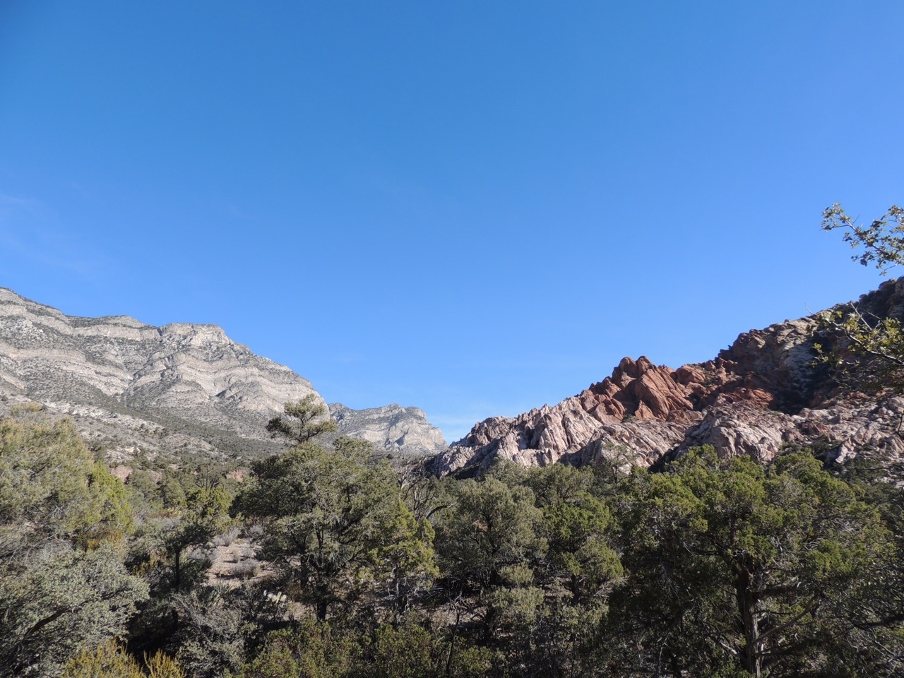 DSCN2355.jpg
