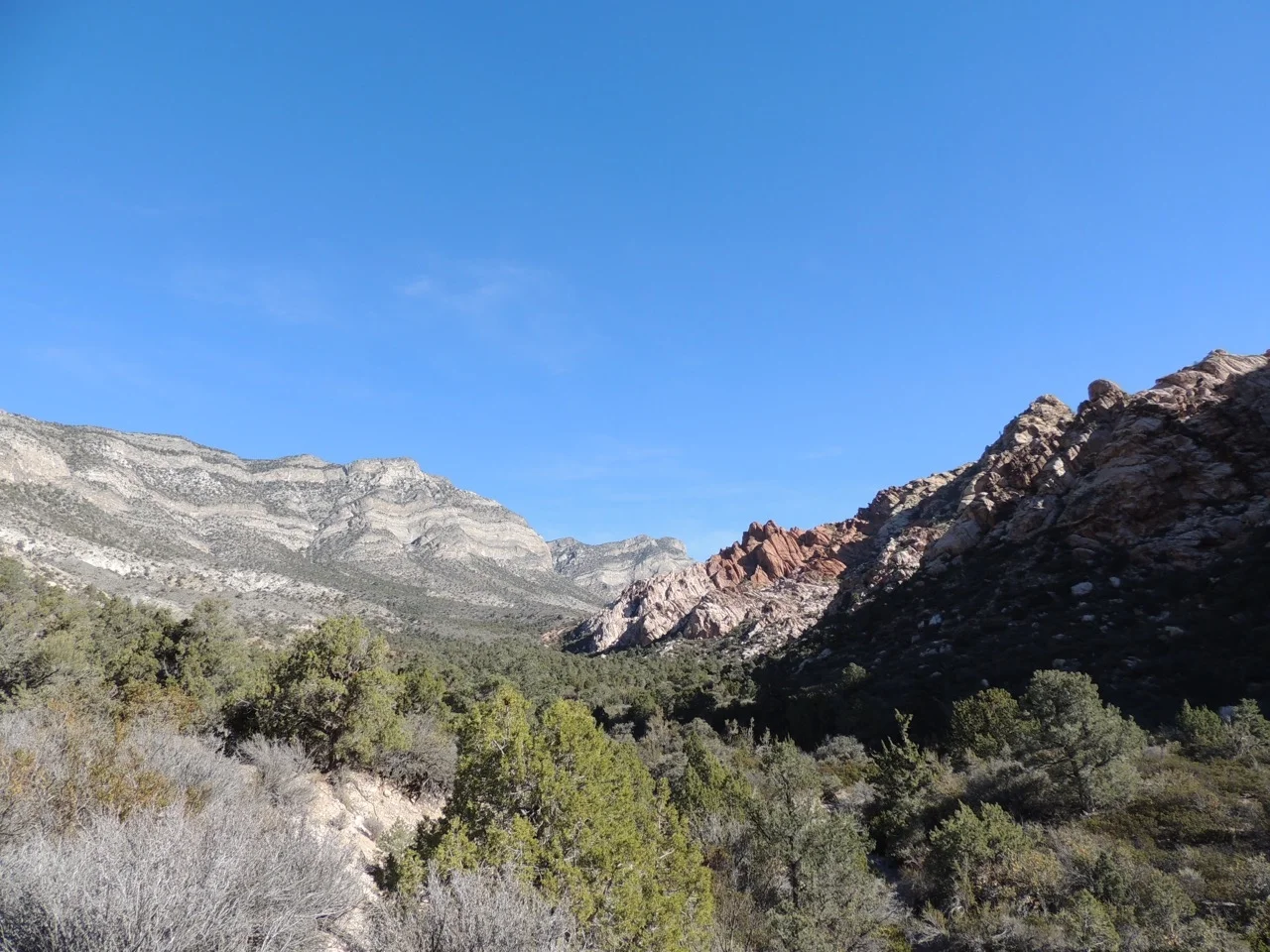 DSCN2361.jpg