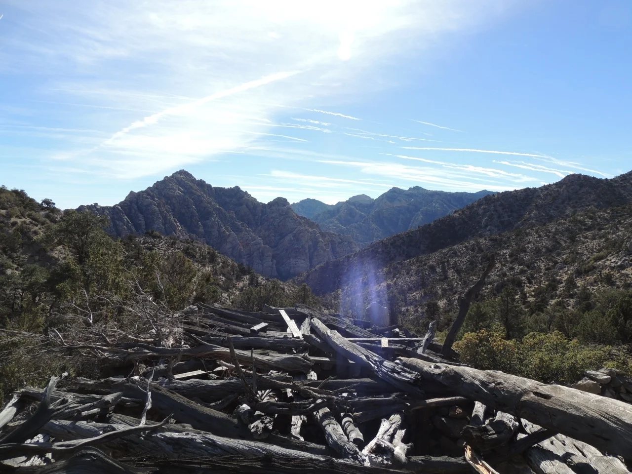 DSCN2370.jpg