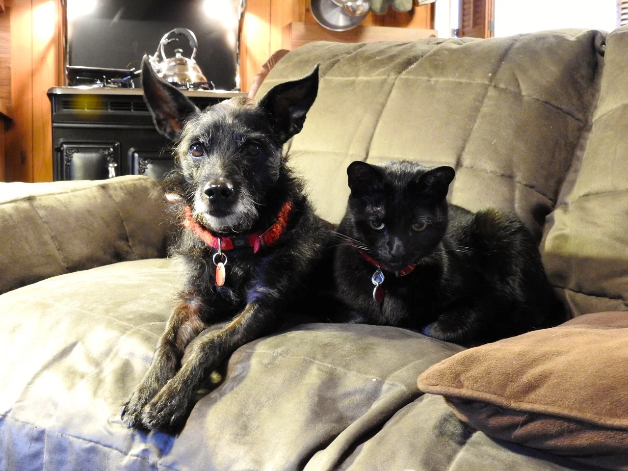 DSCN6310.jpg