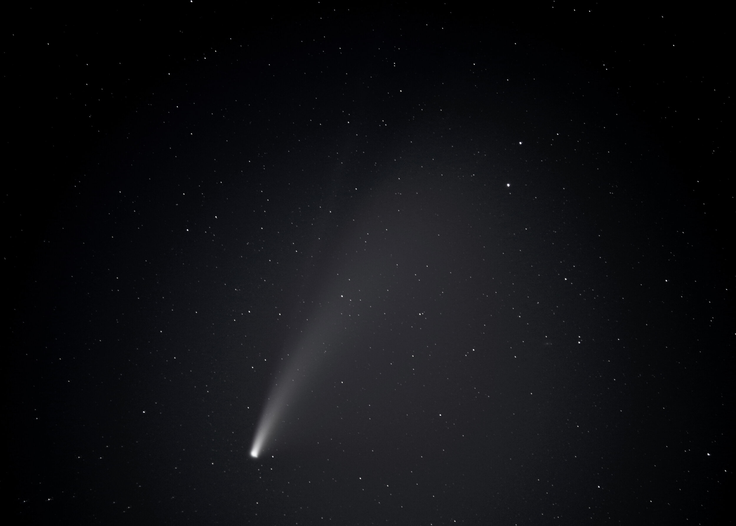 Comet Neowise