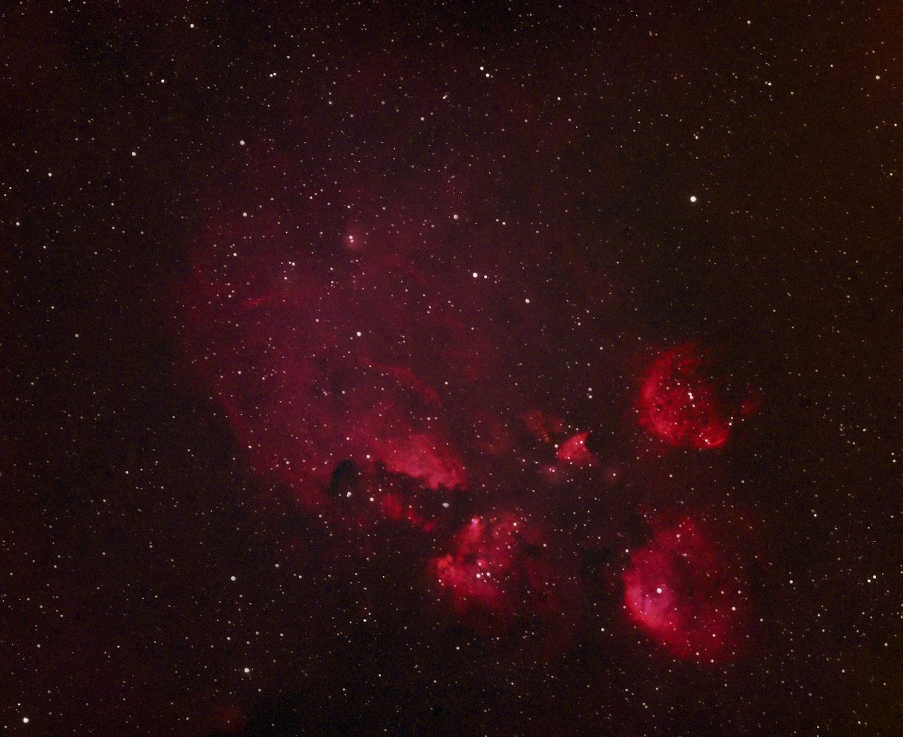 The Cat's Paw Nebula