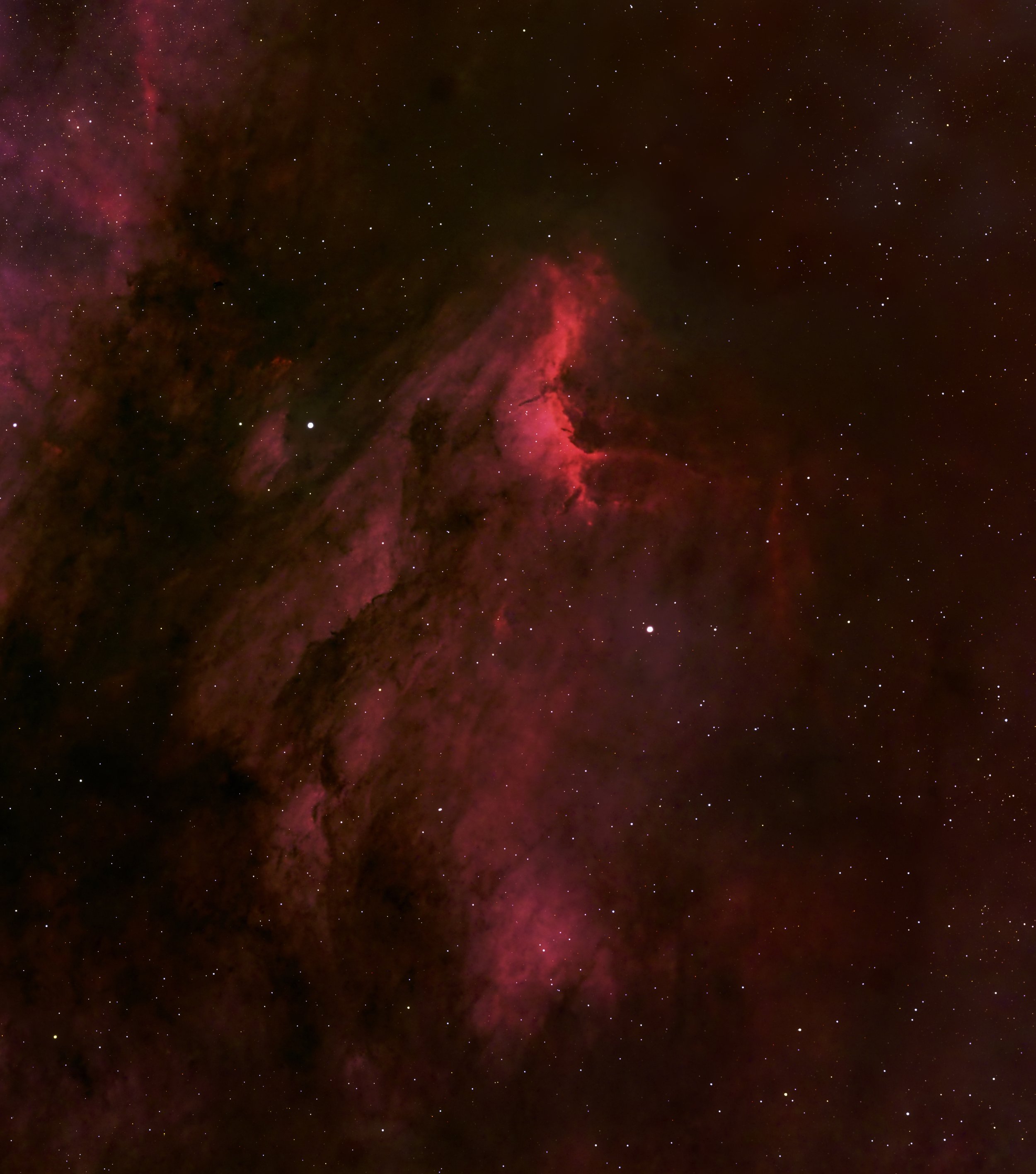 Pelican Nebula