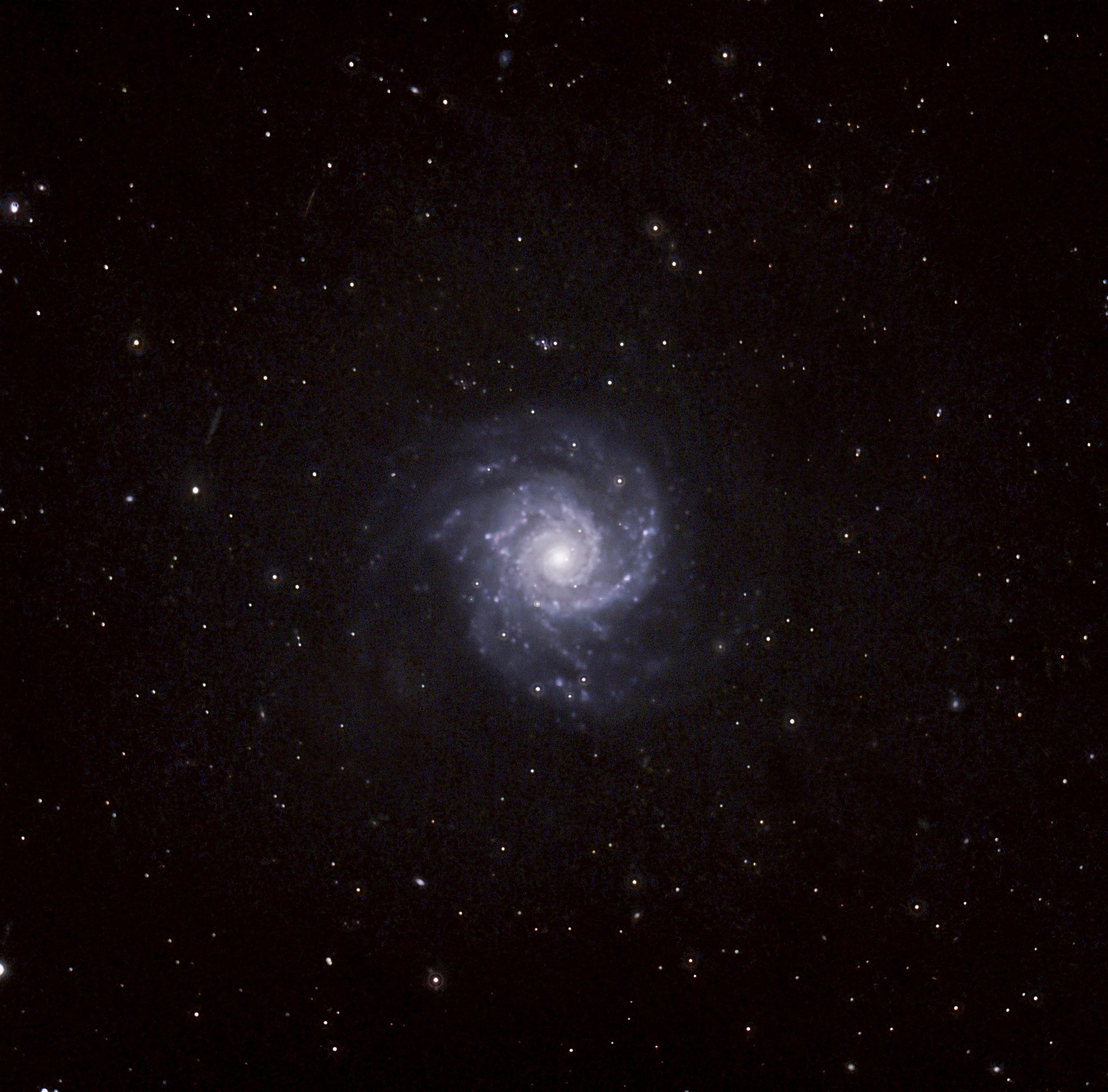 M74