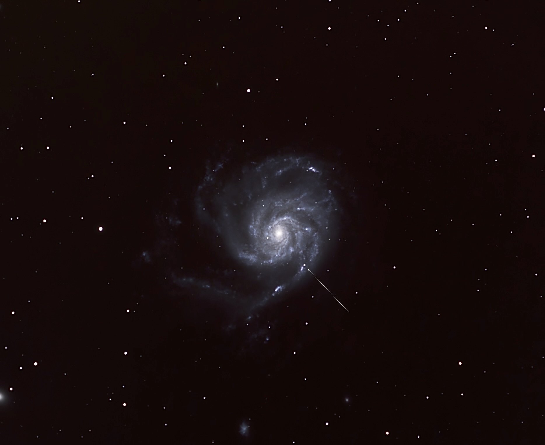 The supernova SN2023ixf in the Pinwheel Galaxy (arrow added)