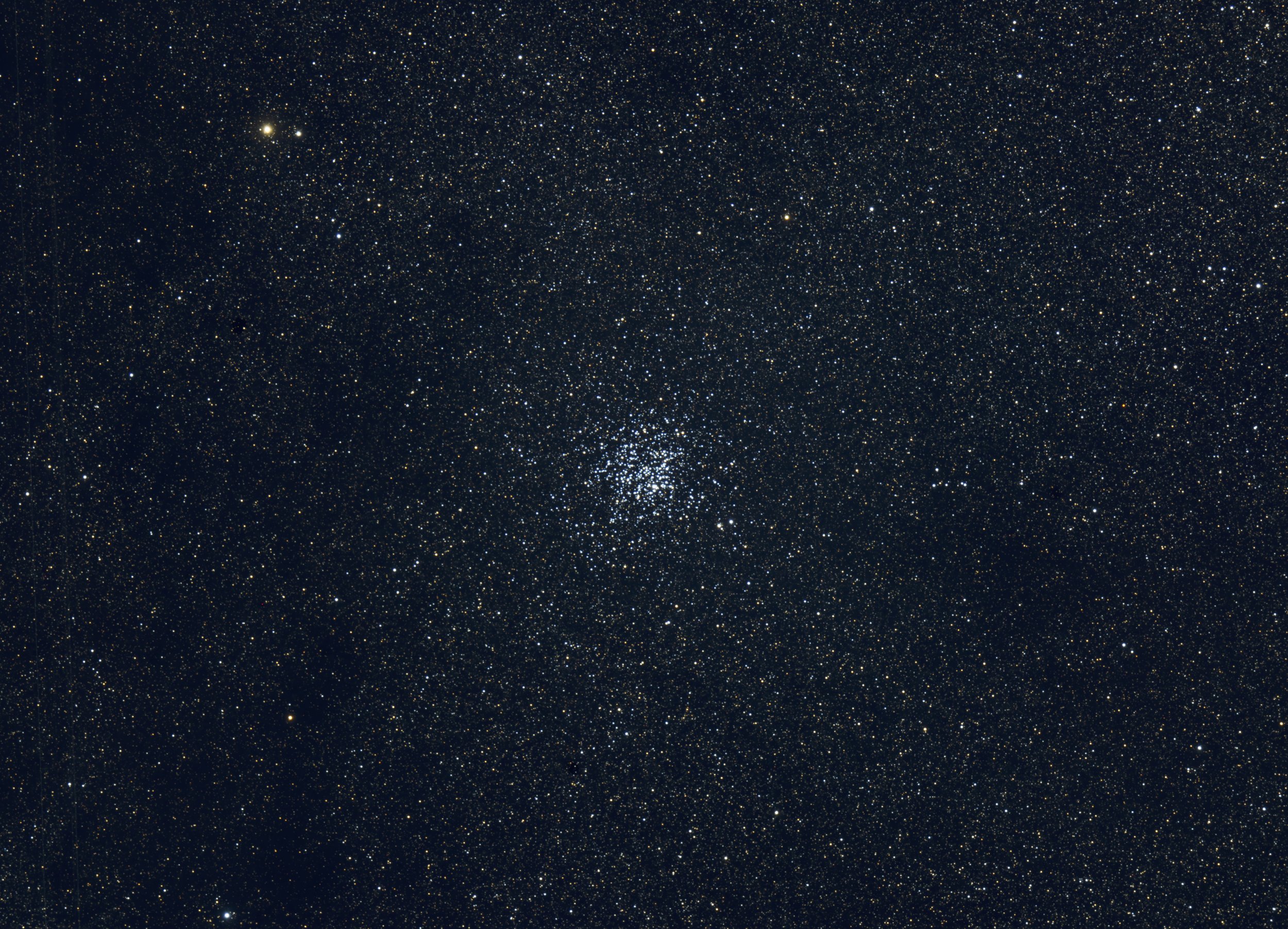 The Wild Duck Cluster