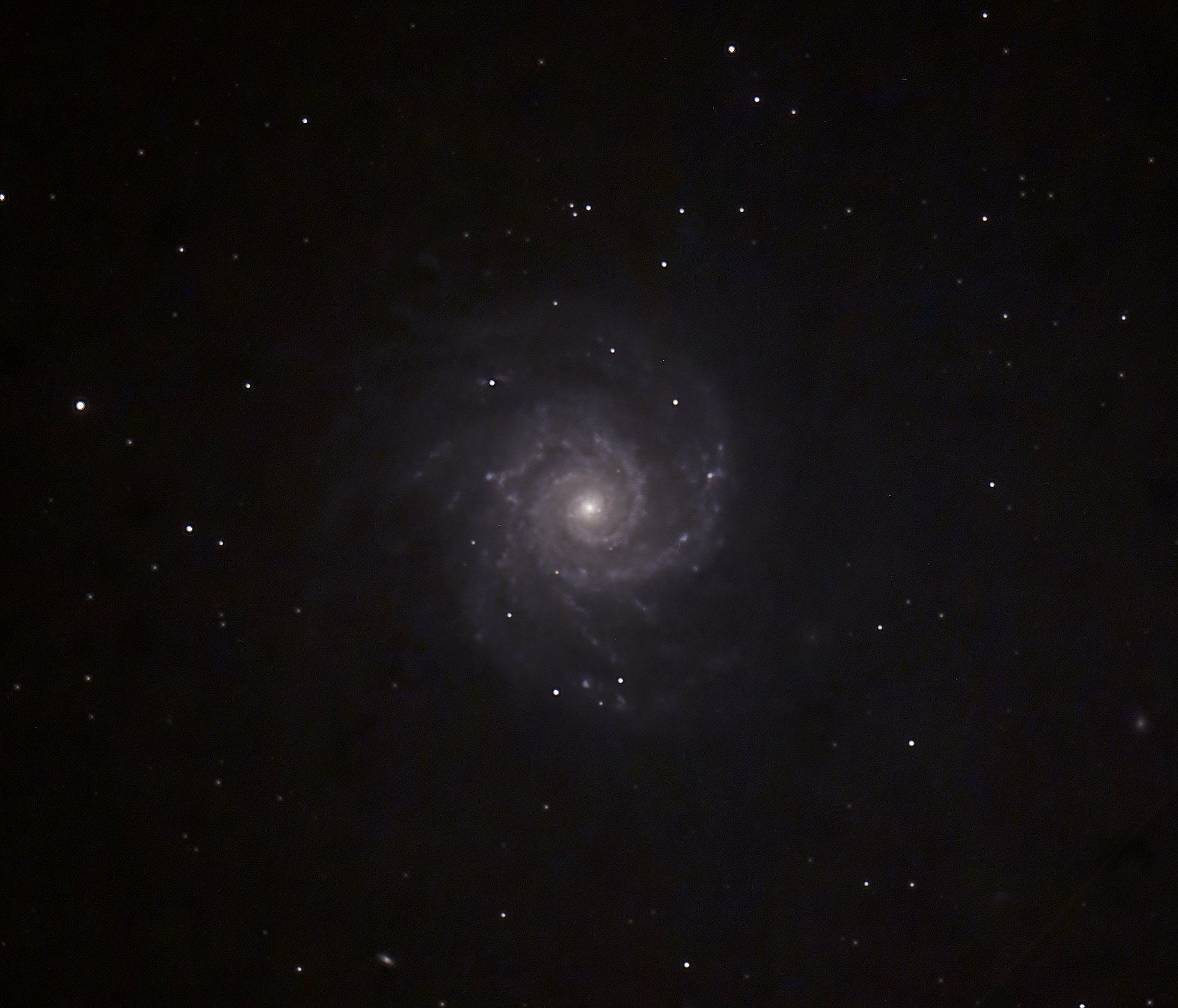 The spiral galaxy M74