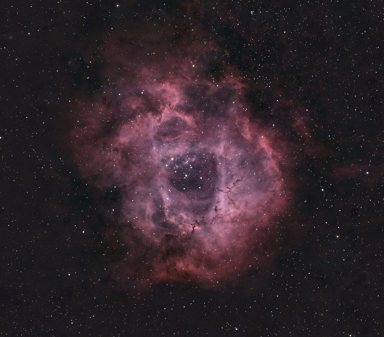 The Rosette Nebula