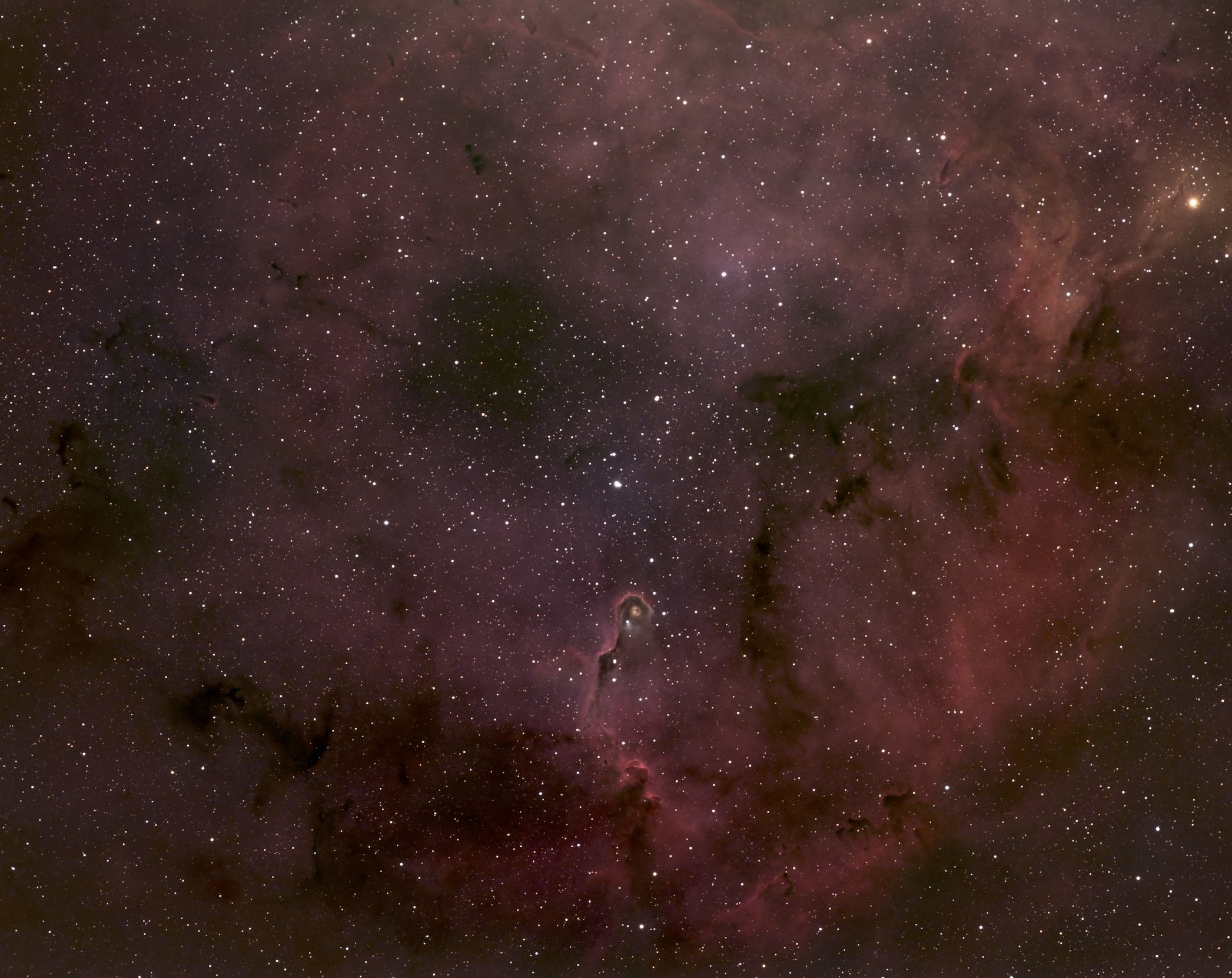 The Elephant Trunk Nebula