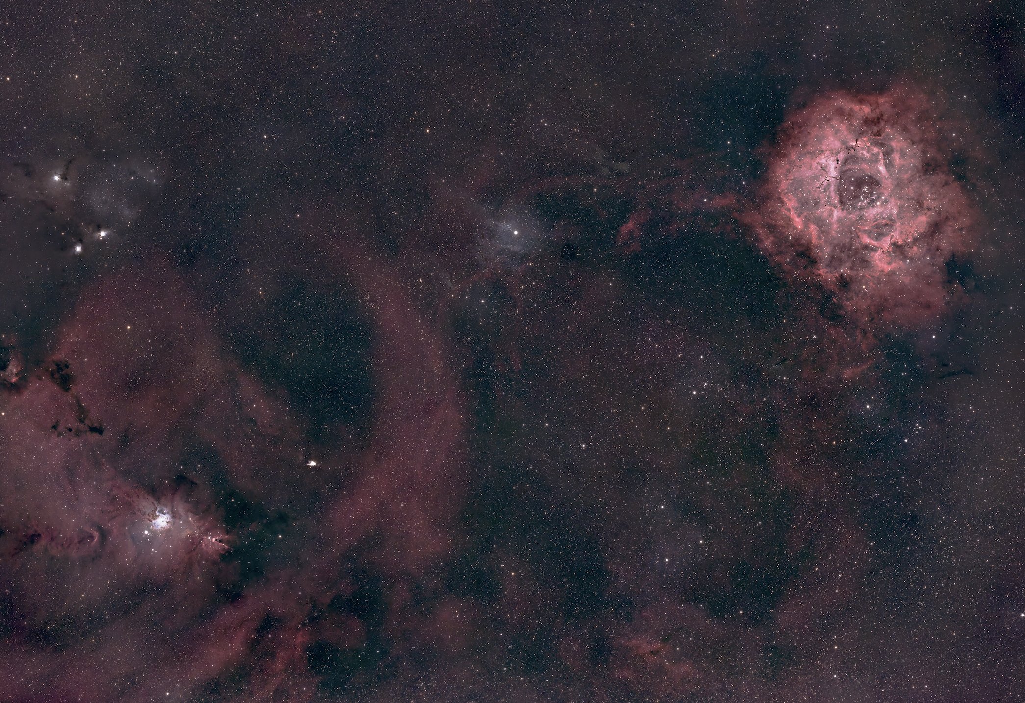 The Cone/Christmas Tree Nebula with the Rosette