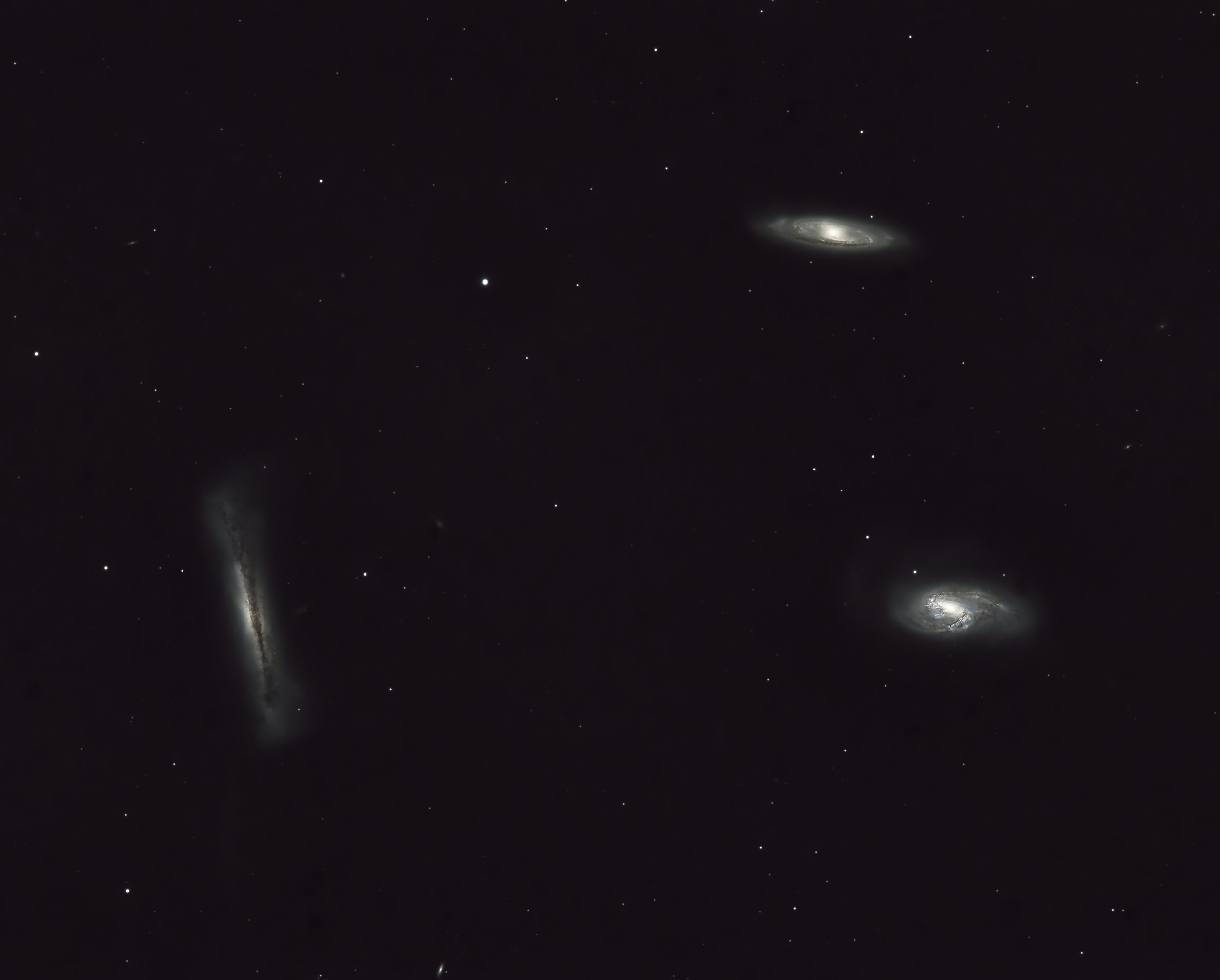 The Leo Triplet