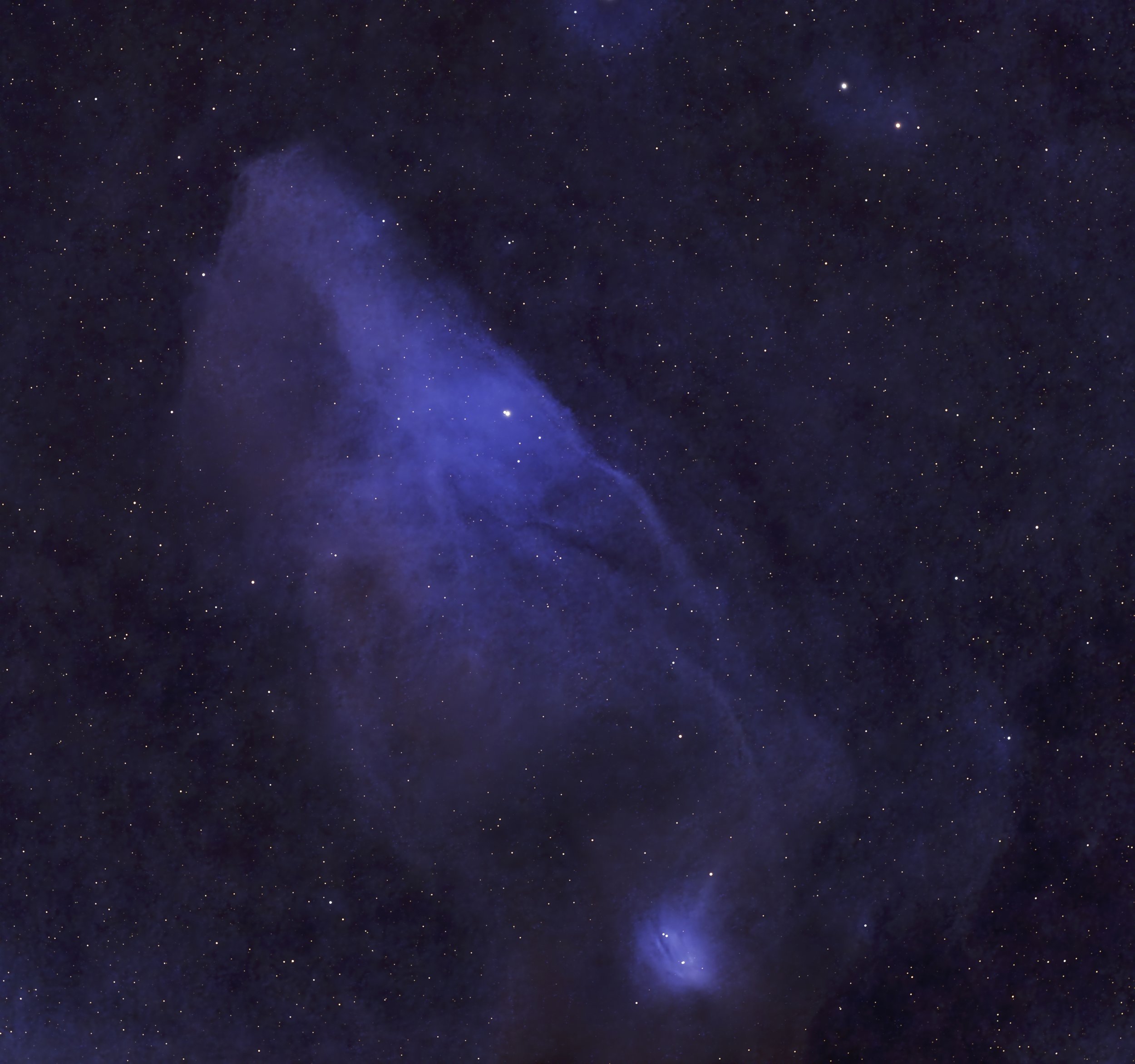 The Blue Horse Head Nebula