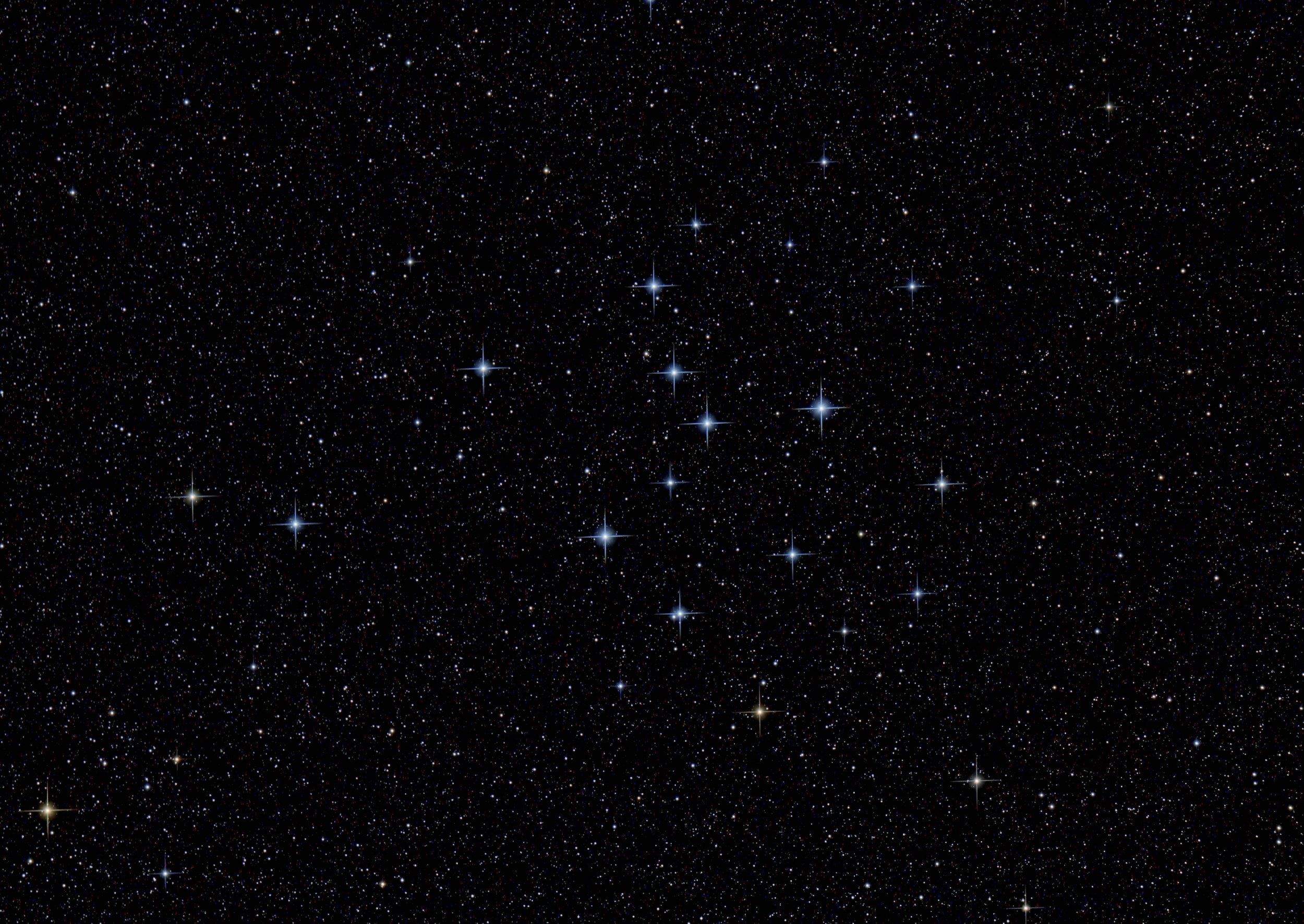 The open cluster IC 4665