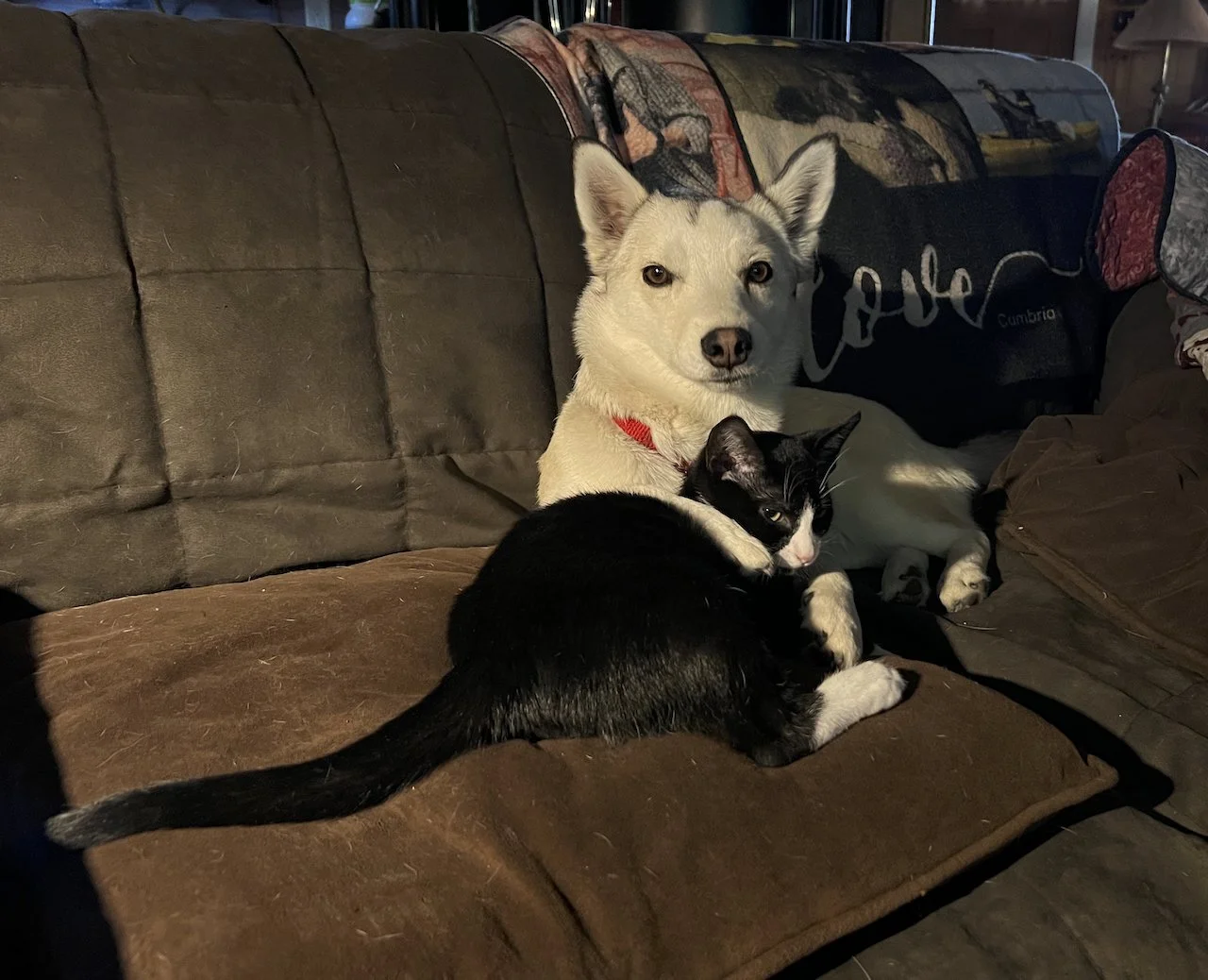 Getting along 3.jpeg