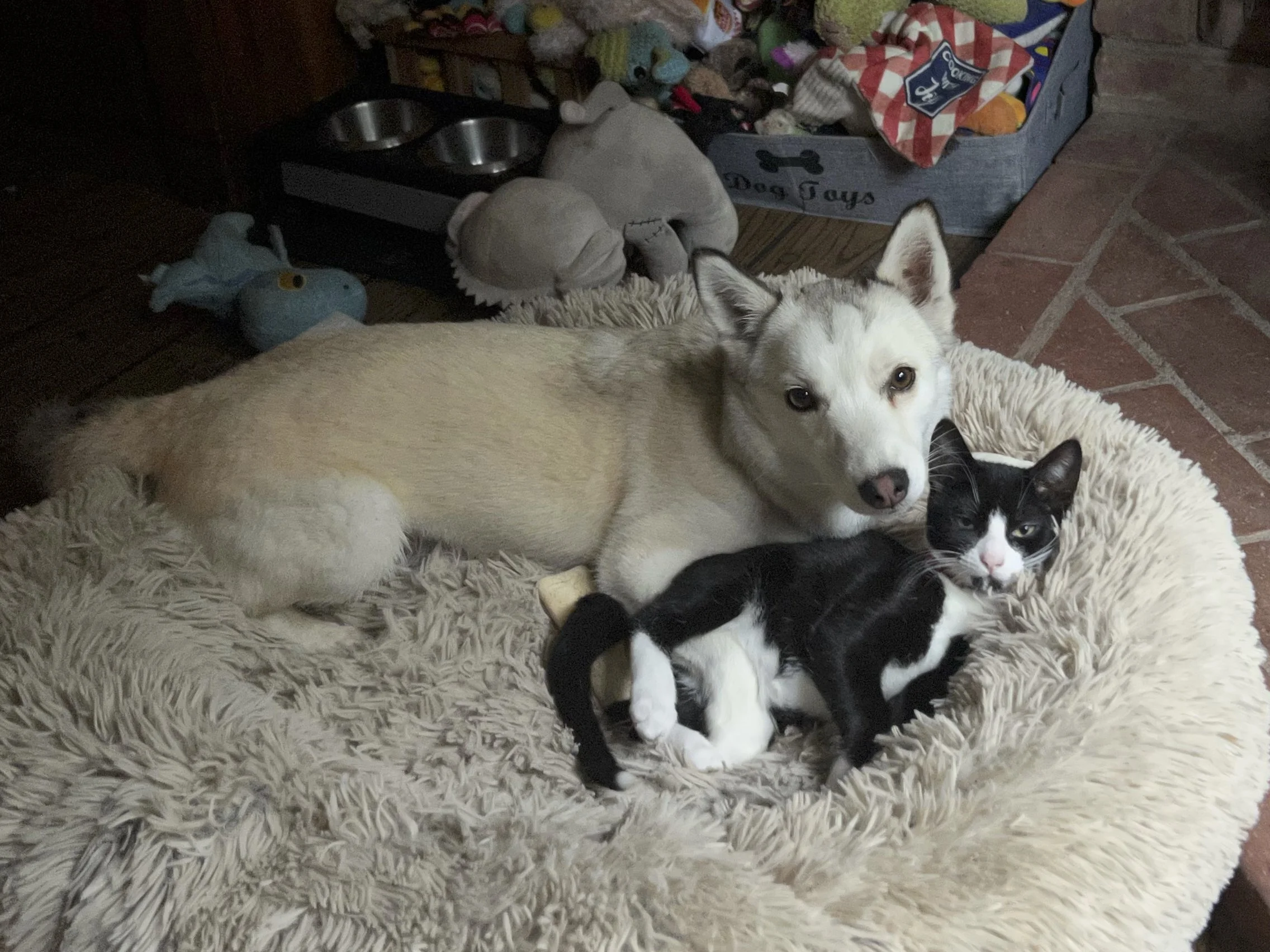 Getting along 4.jpeg