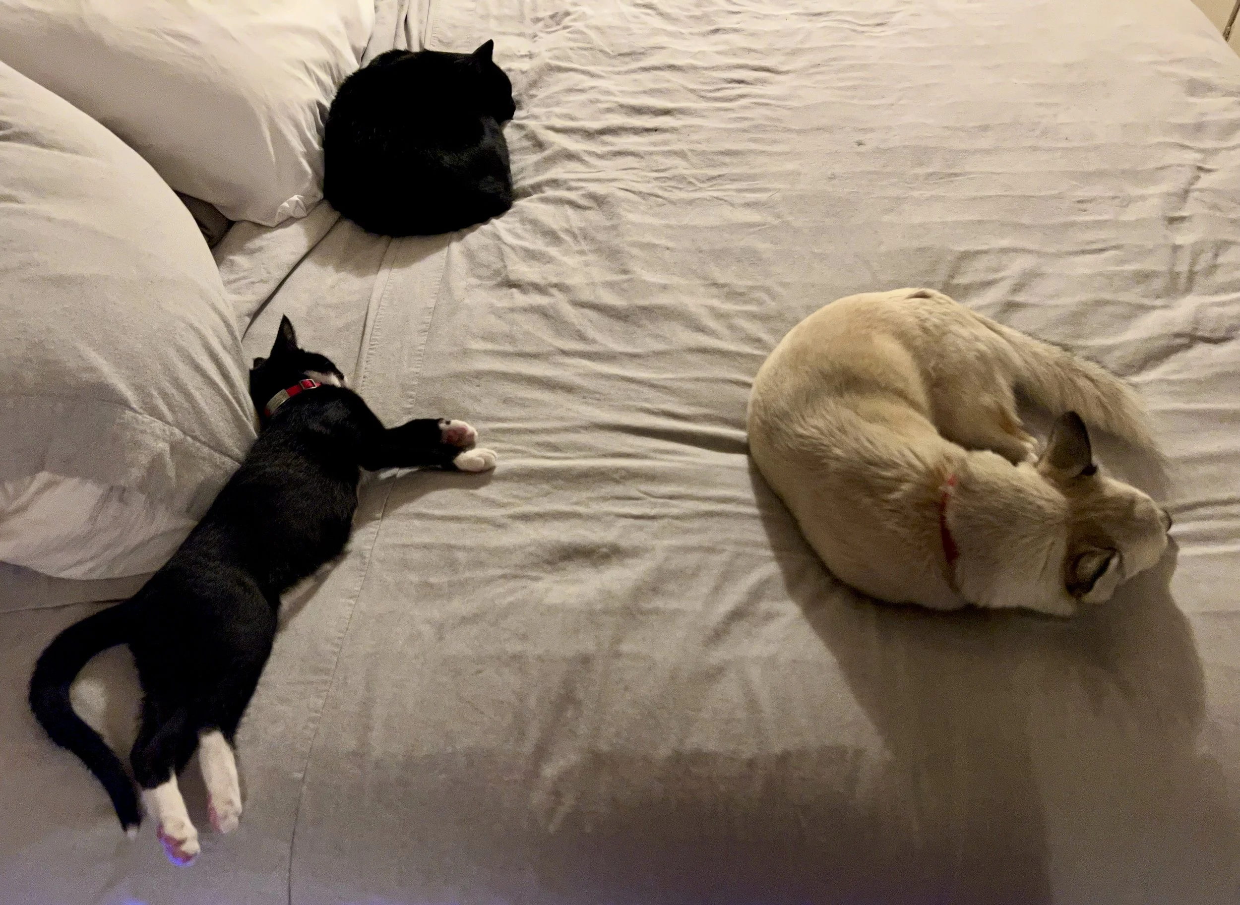 Sleep 8.jpeg