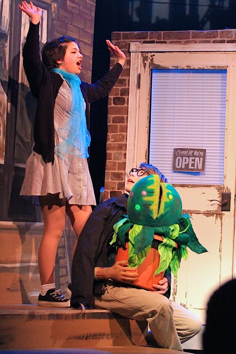 DSLittleShopofHorrors 78.jpg