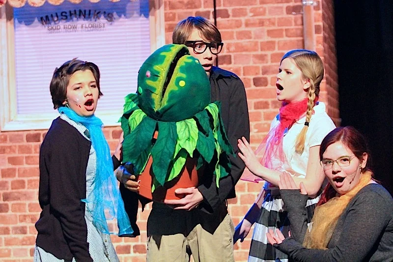DSLittleShopofHorrors 85.jpg