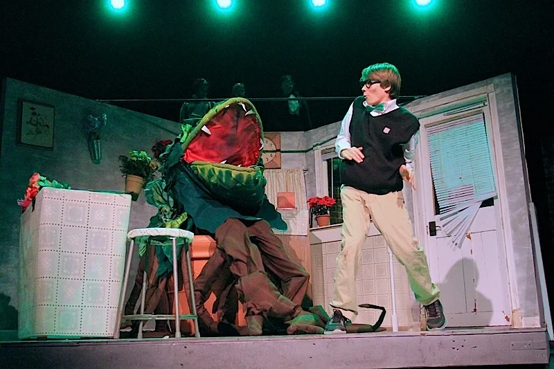 DSLittleShopofHorrors 150.jpg