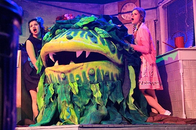 DSLittleShopofHorrors 225.jpg