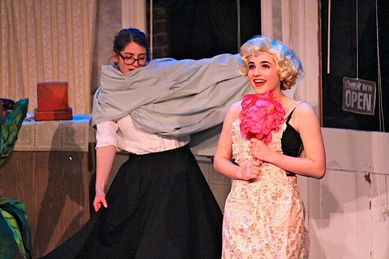 DSLittleShopofHorrors 419.jpg