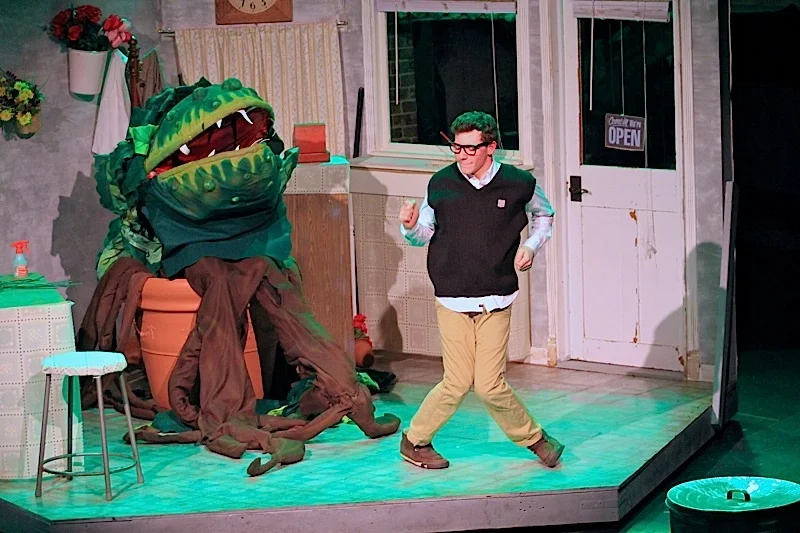 DSLittleShopofHorrors 454.jpg