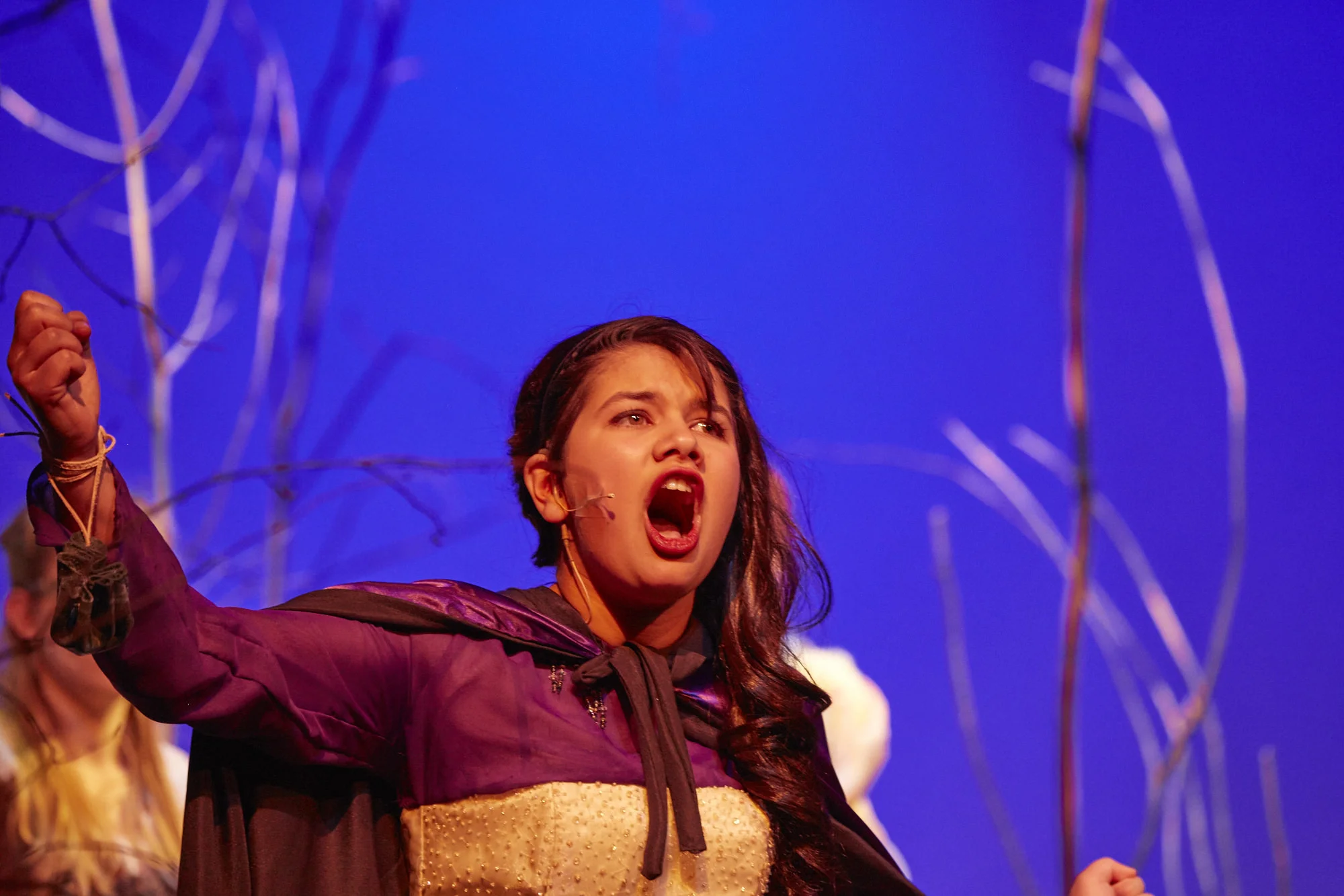 Into the Woods - Feb 18 2015 - 475.jpg