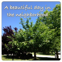 beautifulday.jpg