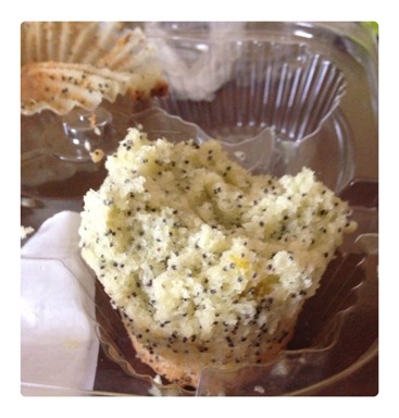 muffin.jpg