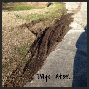 Tire Tracks.jpg
