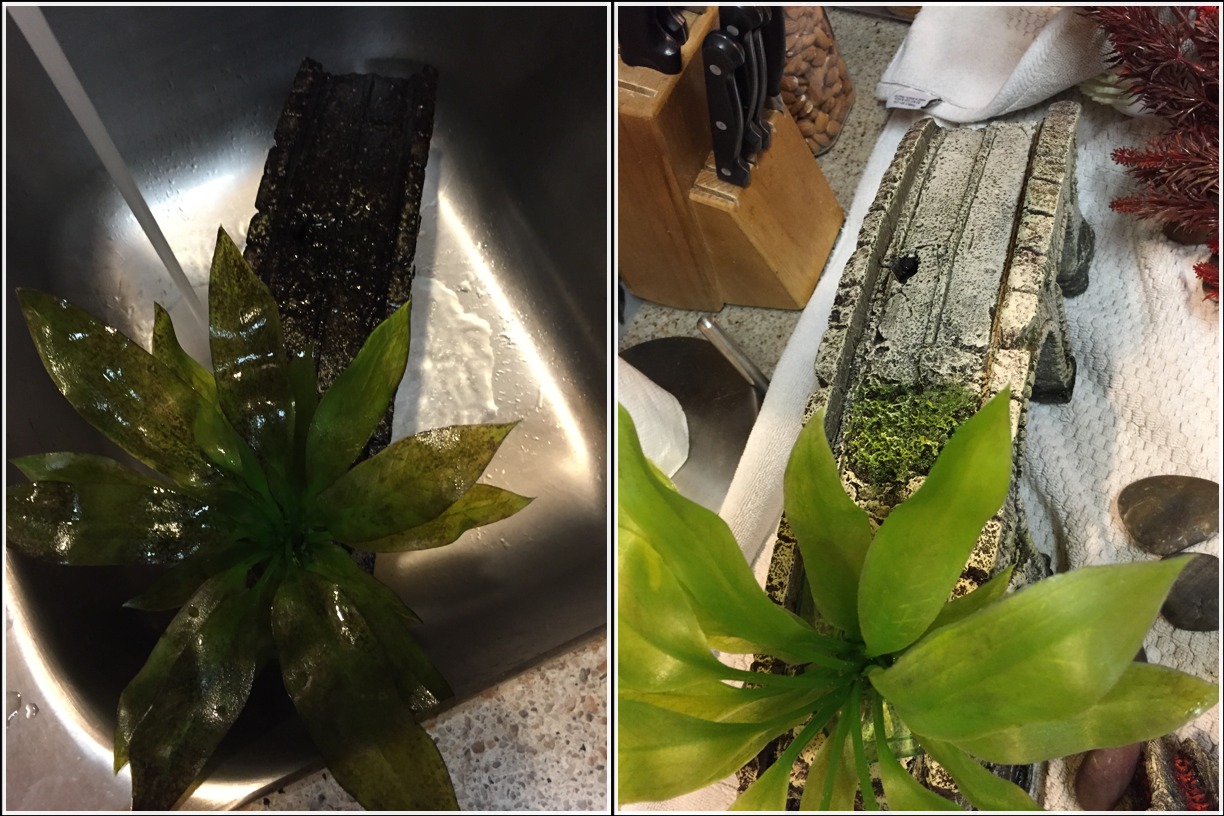 Before/After - that time the bridge got really gross and slimy