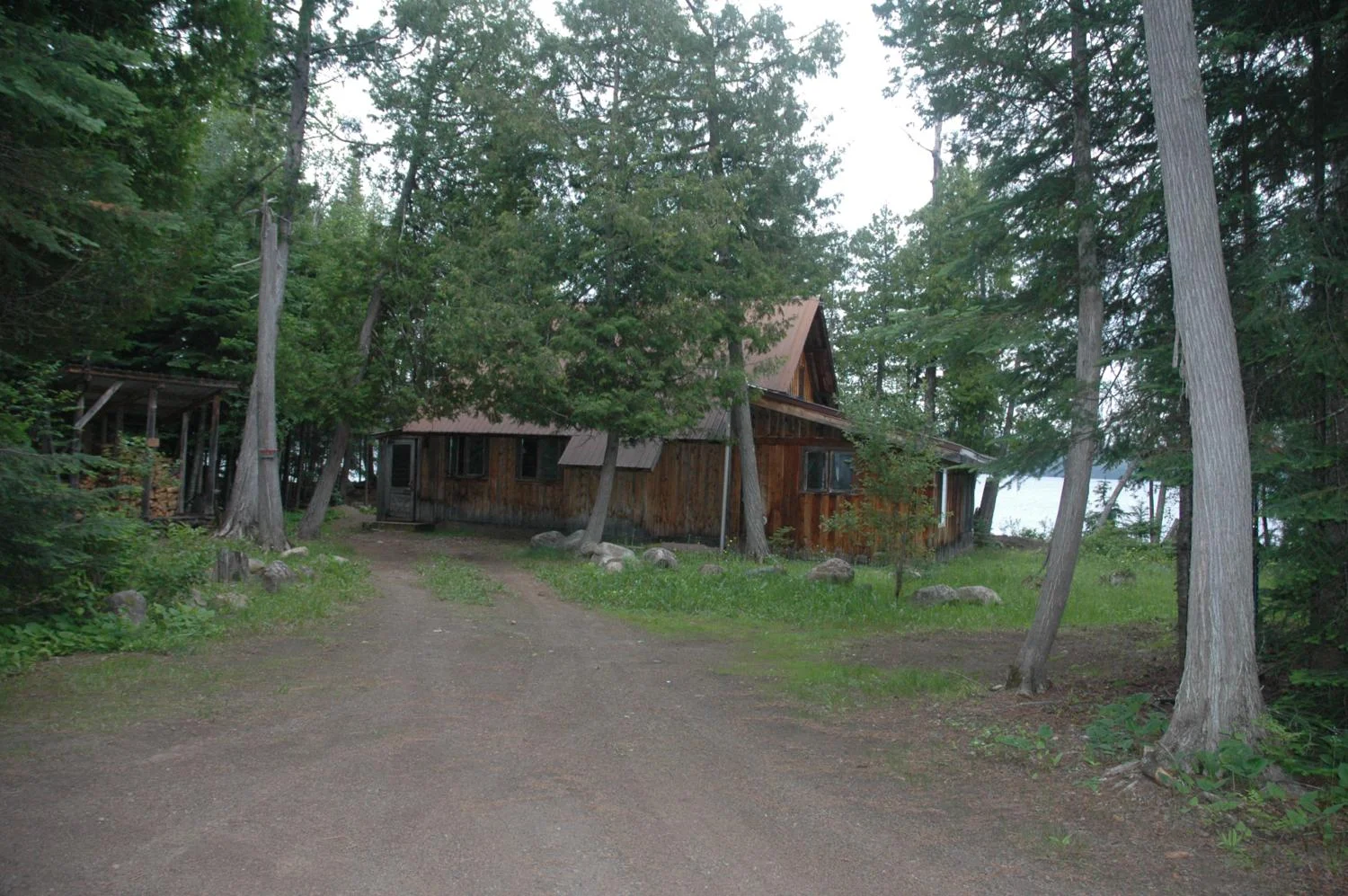 Diamond Willow — Heston's Lodge