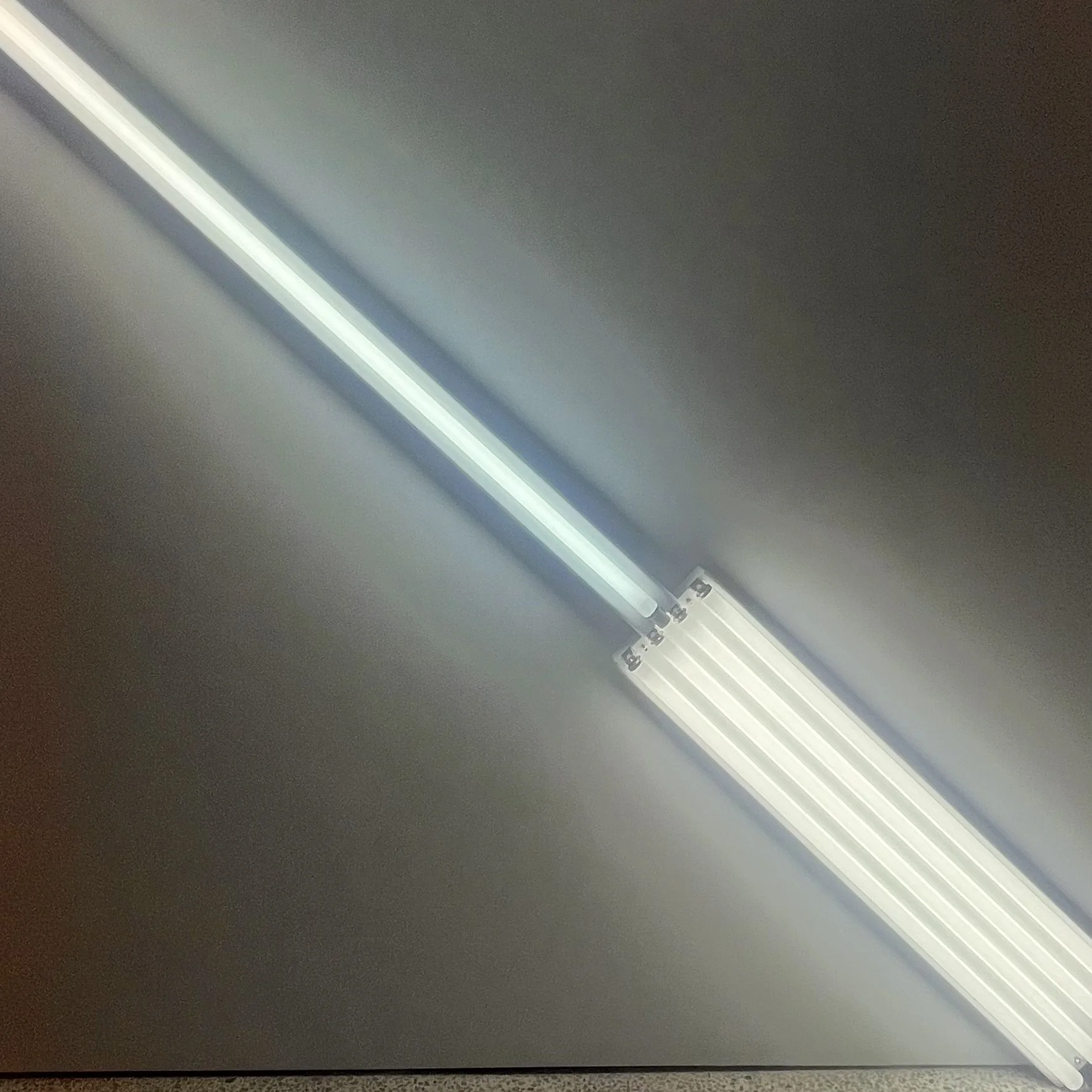 IMG_0962.jpeg