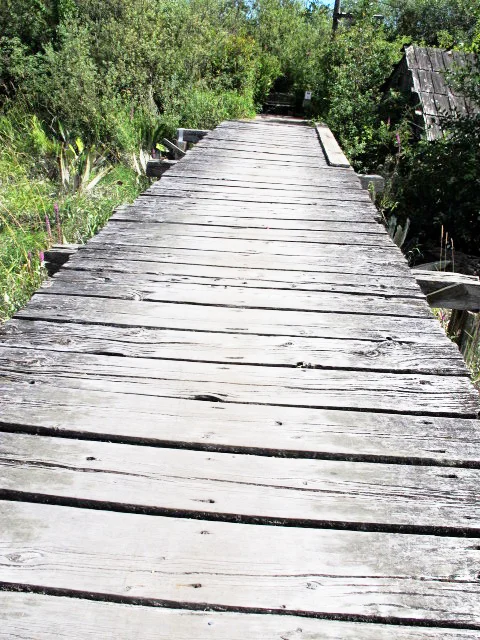 Finn Slough