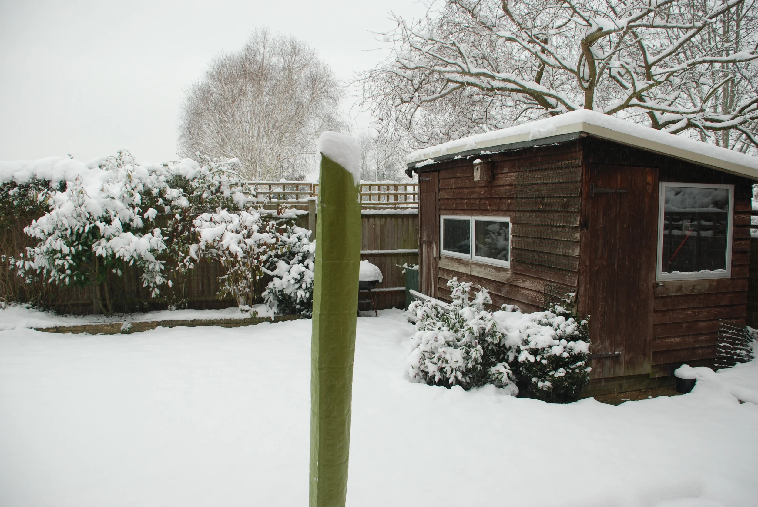 Snow!
