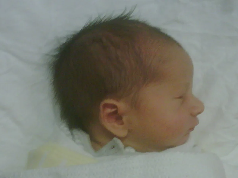 img00109-20100622-1555.jpg
