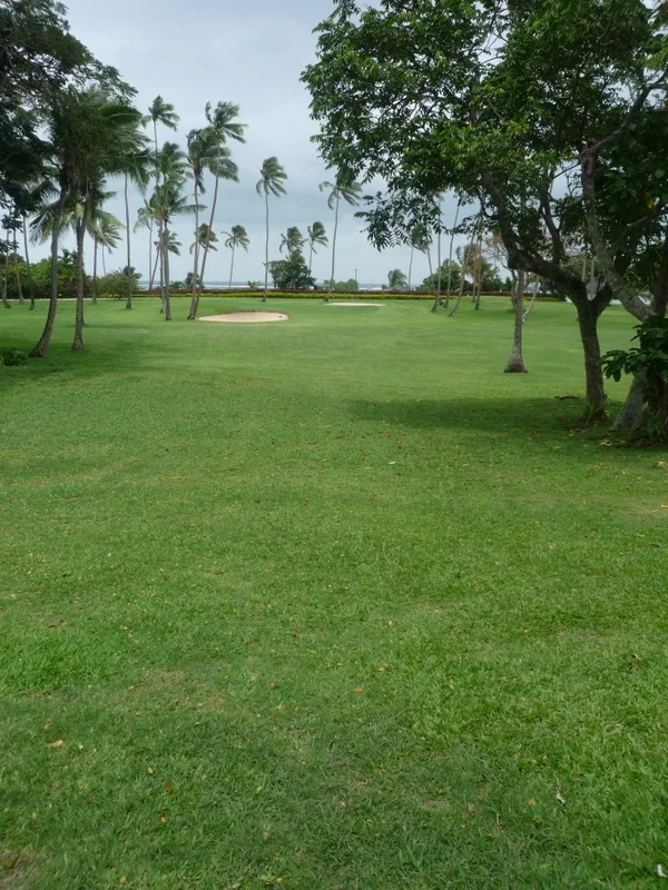 p1020864.jpg