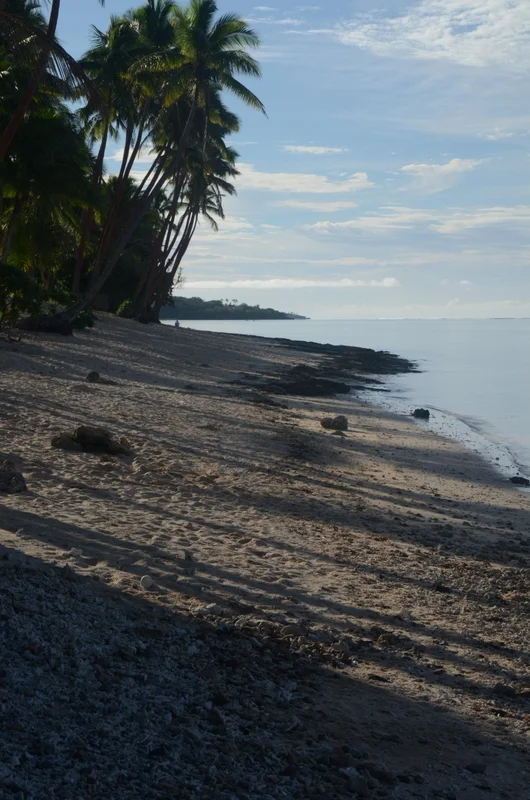 dsc_0624.jpg