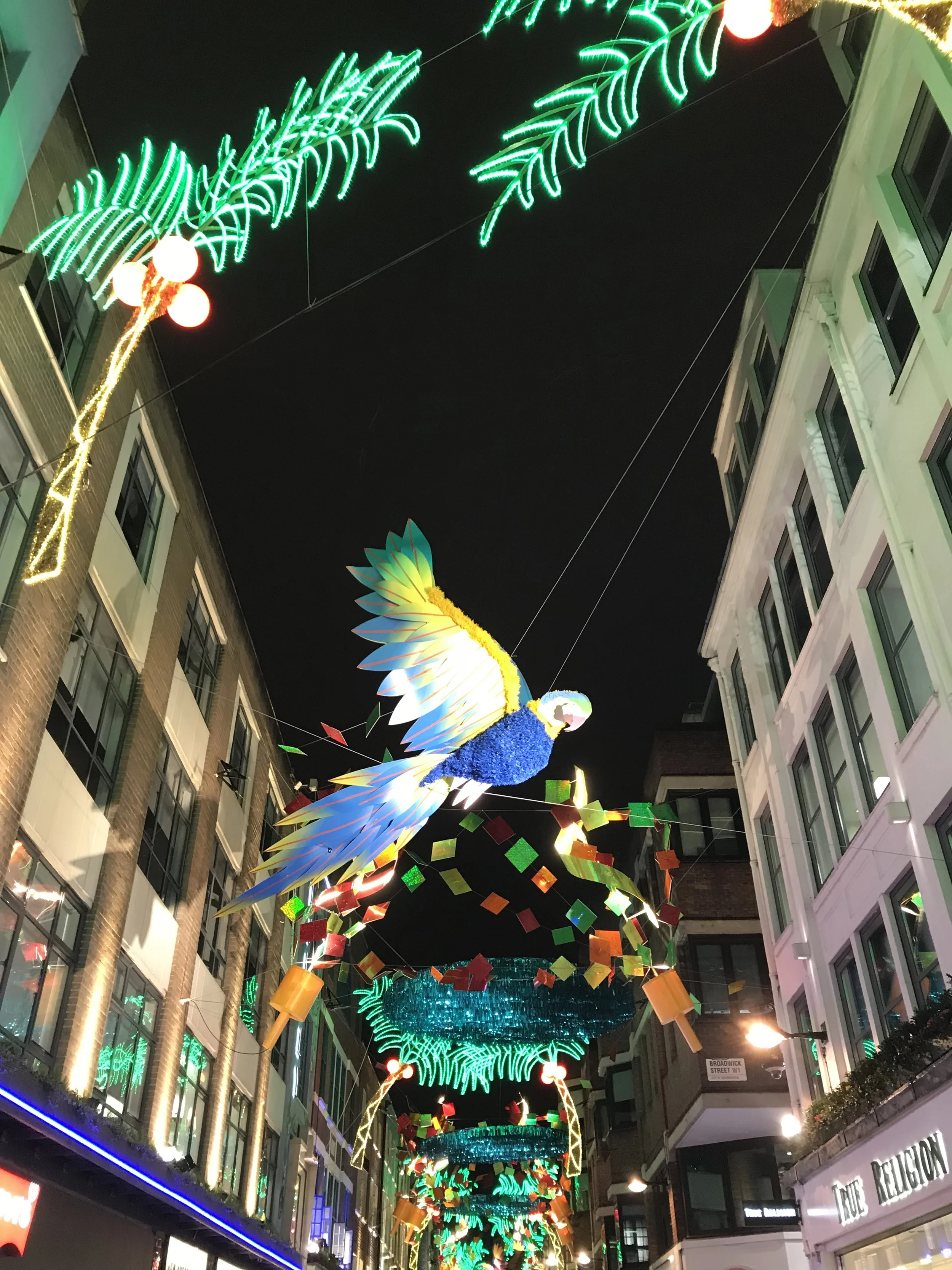 IMG_8158.JPG
