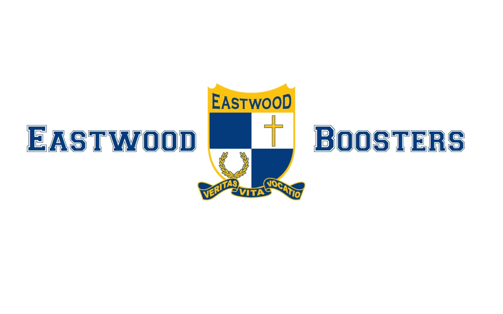 boosters.001-001.jpg