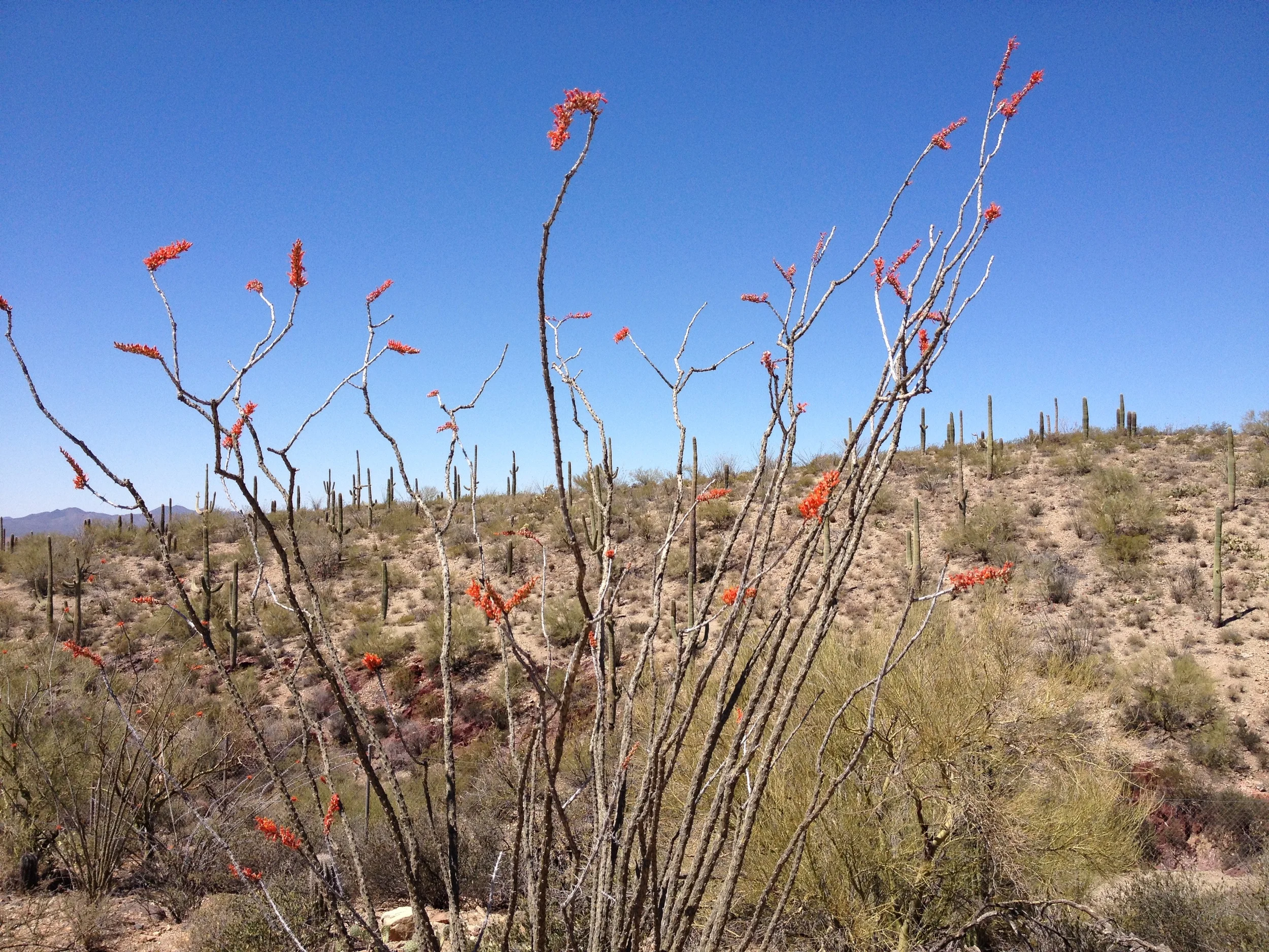 2014-04-01 11.29.39.jpg