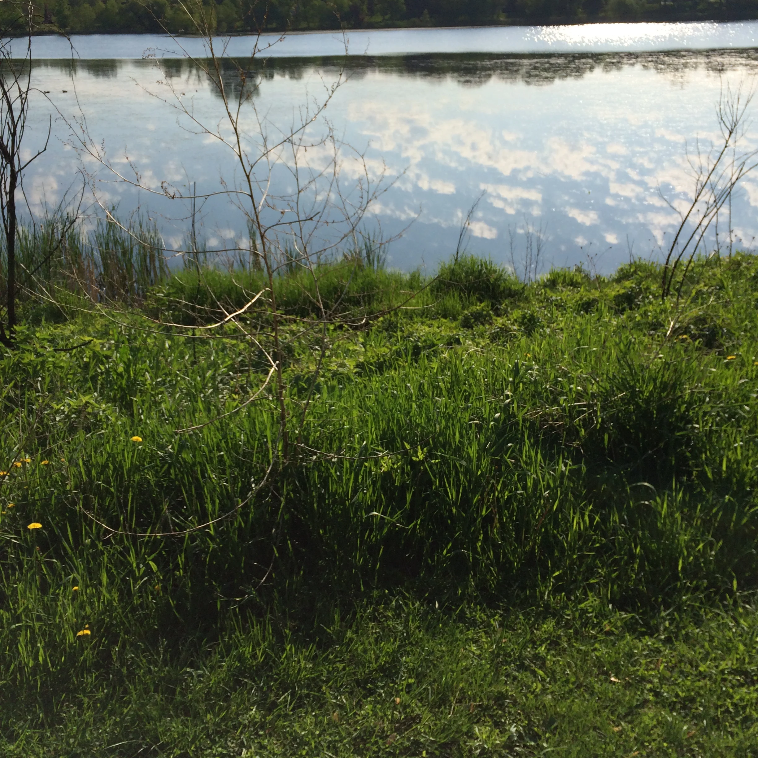 2015-05-21 08.21.37.jpg
